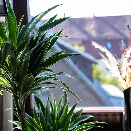 Appartement Nature-terminal-apartments Steinenbronn