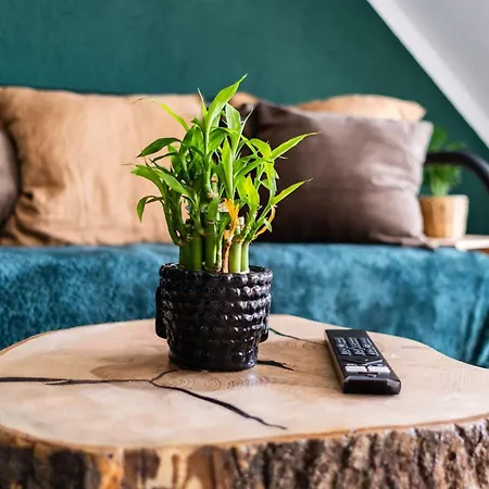 Nature-terminal-apartments Appartement